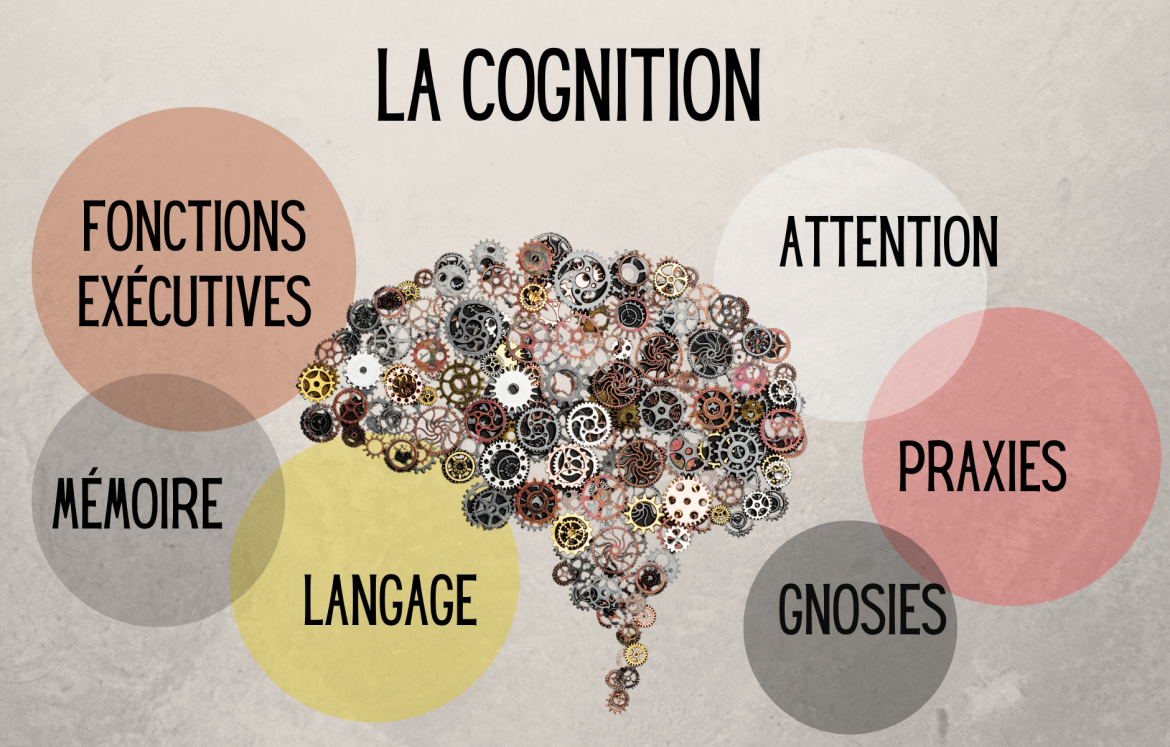 Les Fonctions Cognitives Speechneurolab