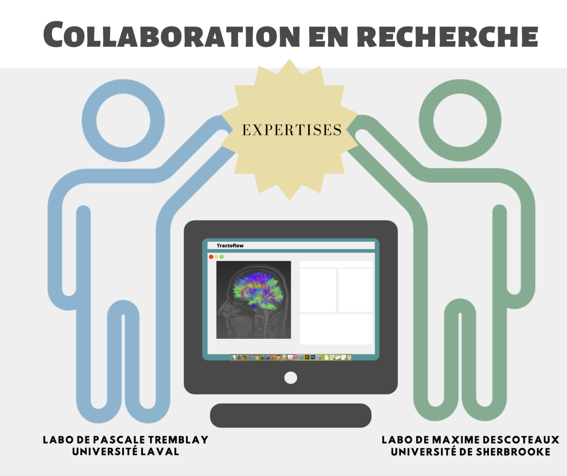 Collaboration En Recherche – Speechneurolab