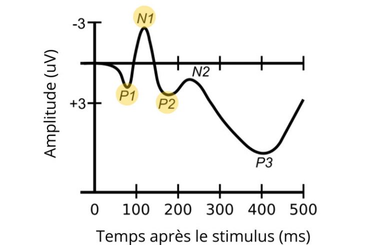 L’effet McGurk – Speechneurolab