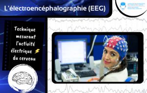 L'électroencéphalographie (EEG) – Speechneurolab