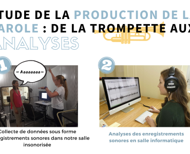 Blogue Analyses de la parole et voix