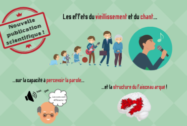 Blogue - Article de Maxime accepté