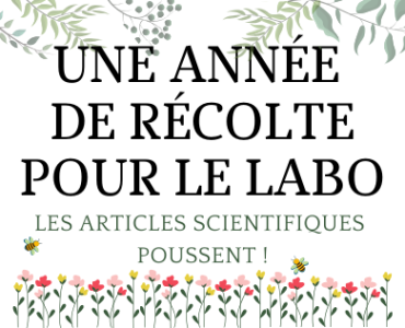 Blogue - Bouillonnement de projets - récolte