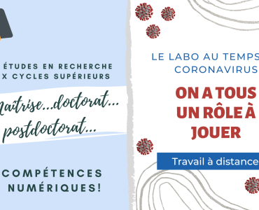 Blogue_compétences_numériques