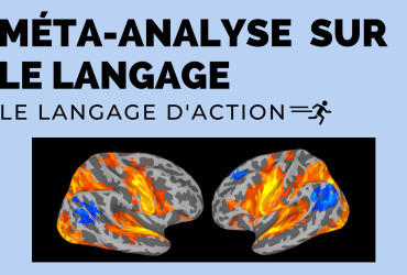 Blogue_méta-analyse sur le langage