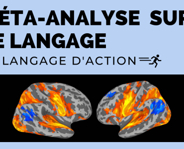 Blogue_méta-analyse sur le langage
