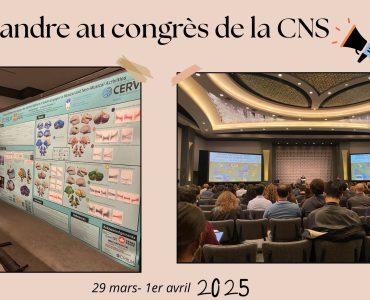 CNS_Alexandre