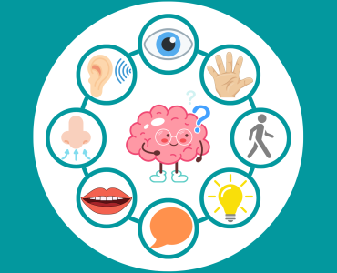 Facebook - Cerveau fonction-2