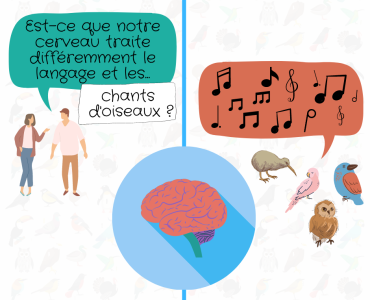 Facebook - Chants d'oiseaux et neurosciences - publication