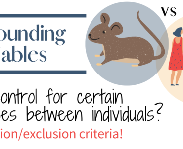 Facebook-Critères-d'inclusion_ENG_Thumbnail