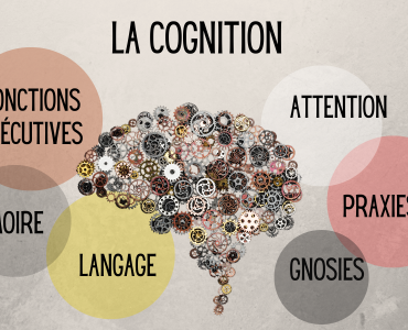 Facebook - Fonctions cognitives_V2