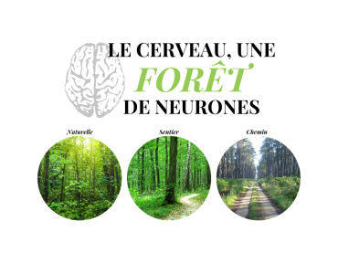 Facebook - Plasticité_ThumbnailFR