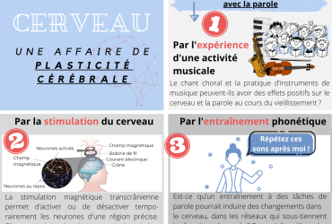Facebook - plasticité induite