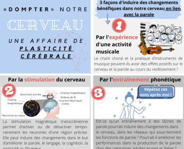 Facebook - plasticité induite
