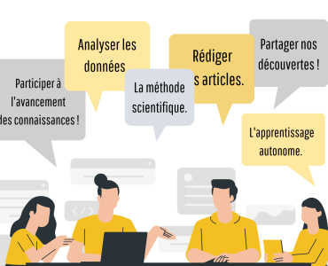 Facebook_Vox-pop_recherche