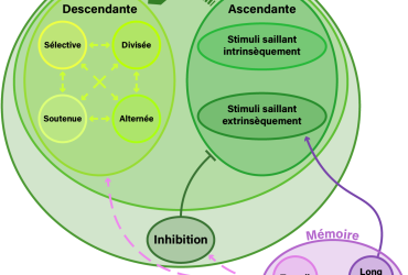 Figure2_Attention