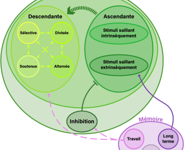 Figure2_Attention