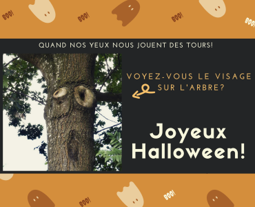 Halloween_Facebook