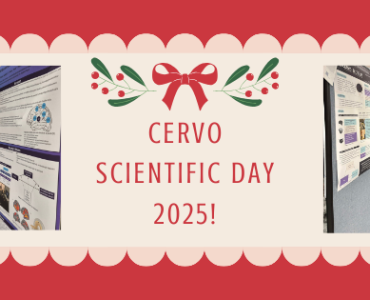 JS CERVO 2025 - ANG