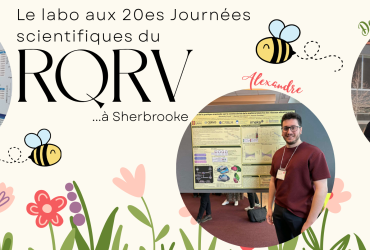 RQRV_2026