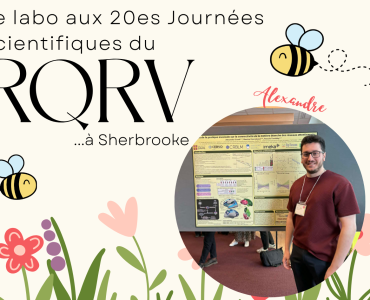 RQRV_2026