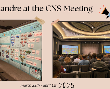 Visuel_ang_CNS_V2