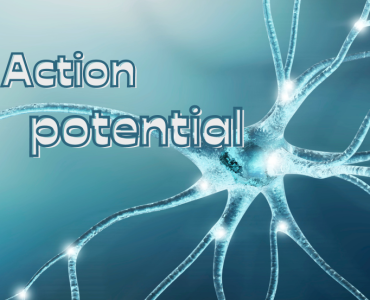 action-potential