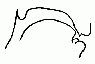 s_croquis