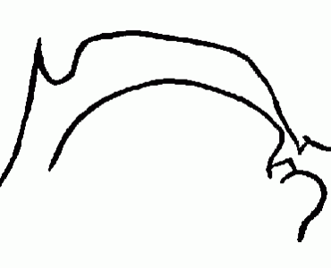 s_croquis